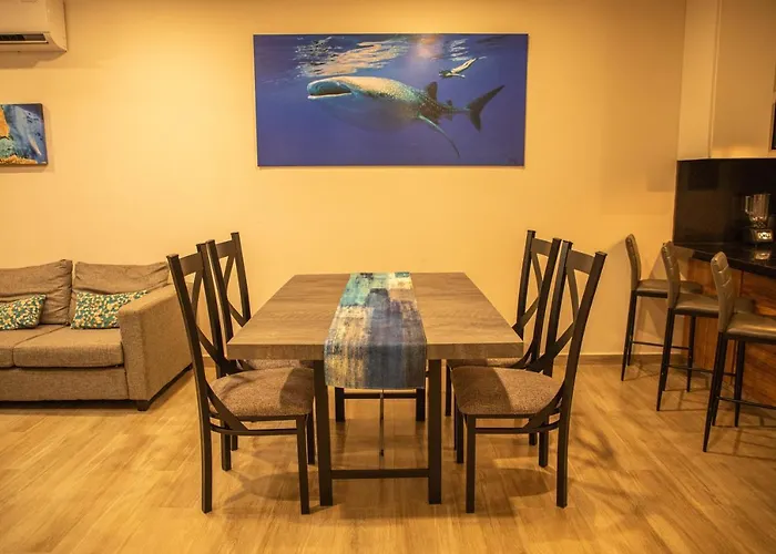 Apartment New W/rooftop Pool & View Cabo San Lucas